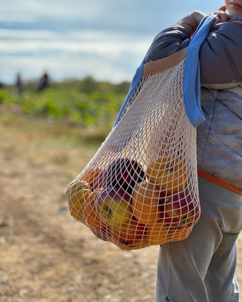 French Market Reusable Grocery Bag