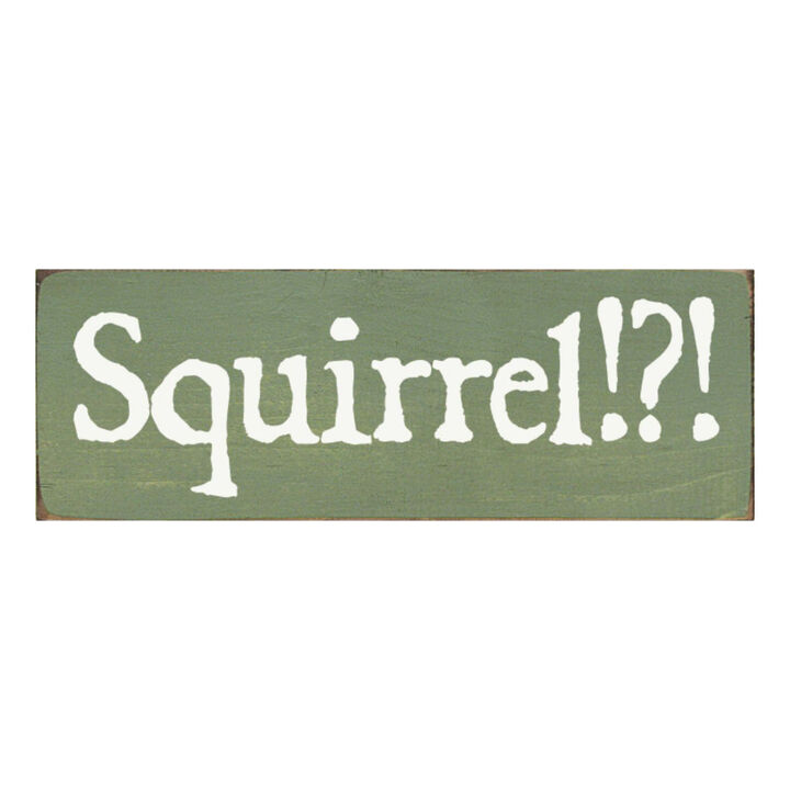 Squirrel Wood Sign Rustic Farmhouse Wall Decor for Living Room, Cabin or Entryway