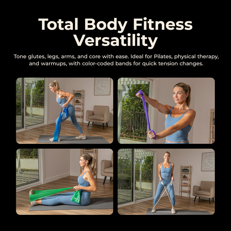 Sunny Health & Fitness 5-Level Resistance Band Set image number 1