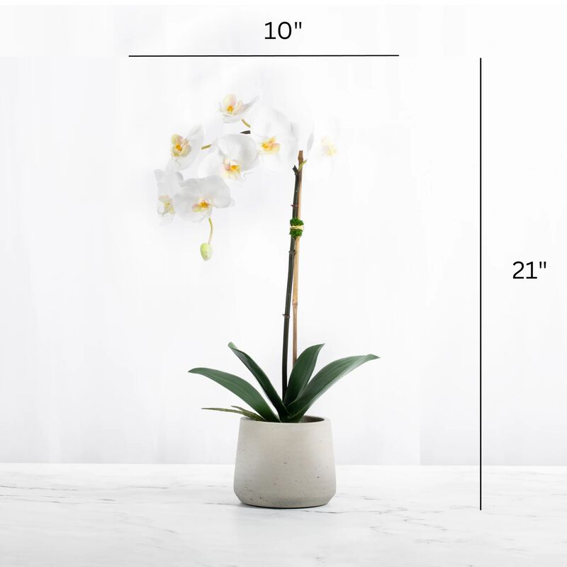 Artificial Orchid Plant White Orchid Plant