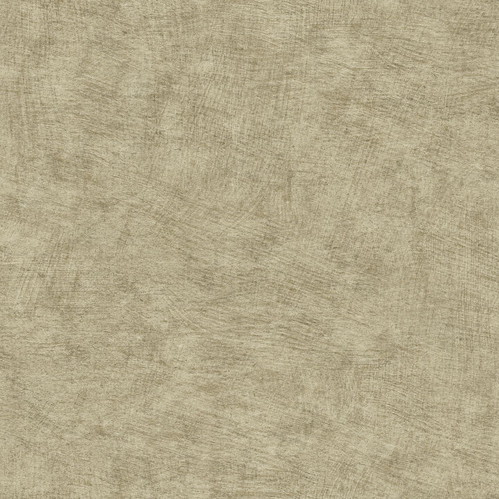 Pampas Plain Brushed Texture Wallpaper