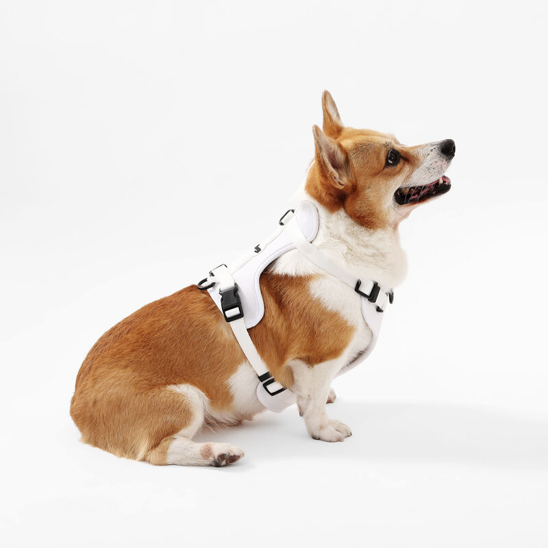 Arlo Adjustable Soft Padded No Pull Pet Harness with 3 Buckles and 3 Leash Clips