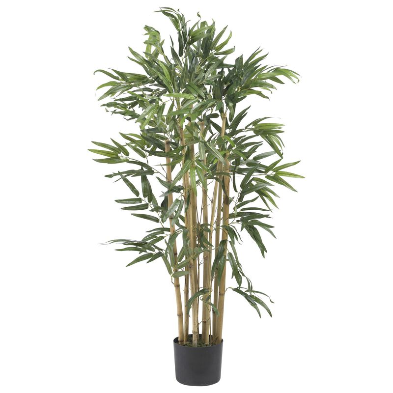 Hivvago 3 Feet Multi Bambusa Bamboo Silk Tree