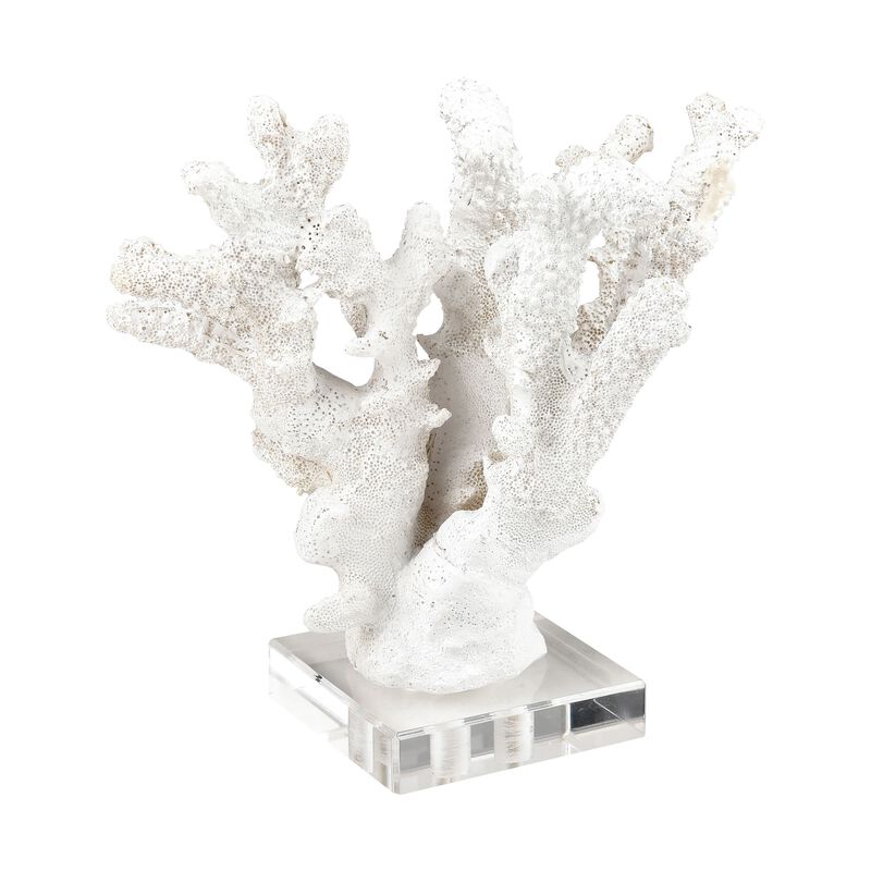 Coral Sculpture Set