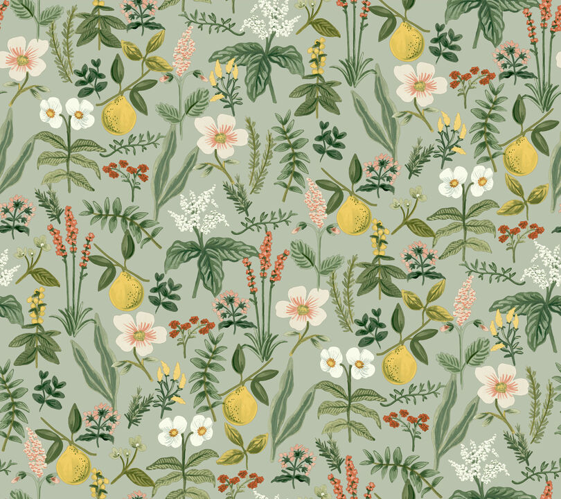 Herb Garden Sage Botanical Premium Peel + Stick Wallpaper