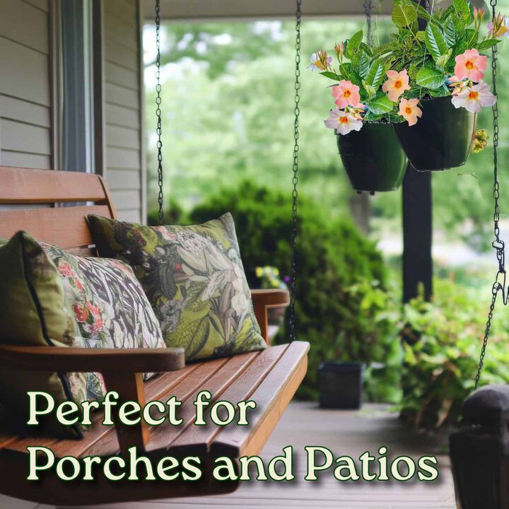 Mandevilla Hanging Basket in 12 Inch(es) Basket 1 ‑Pack