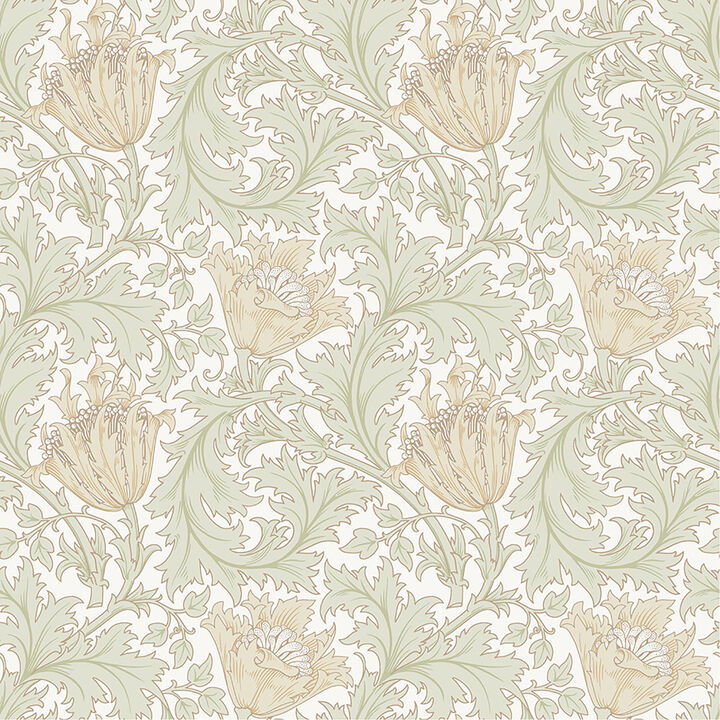 Anemone Light Green Floral Trail Wallpaper