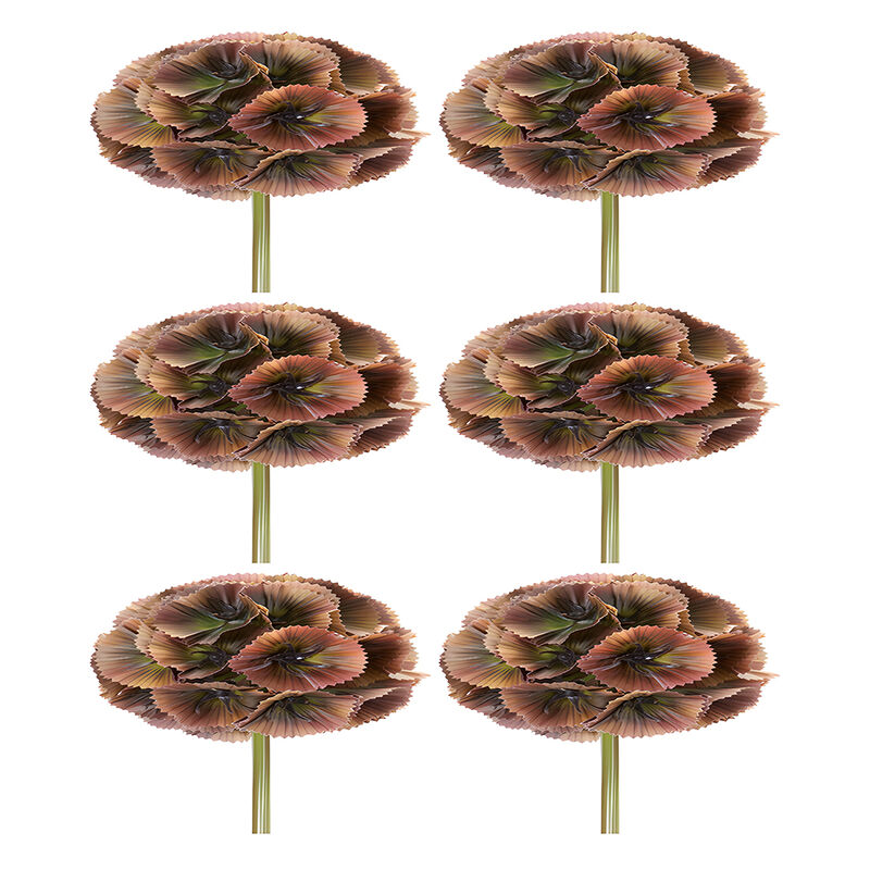 Set of 6 Floral Pods for Crafting and Home D&eacute;cor Arrangements