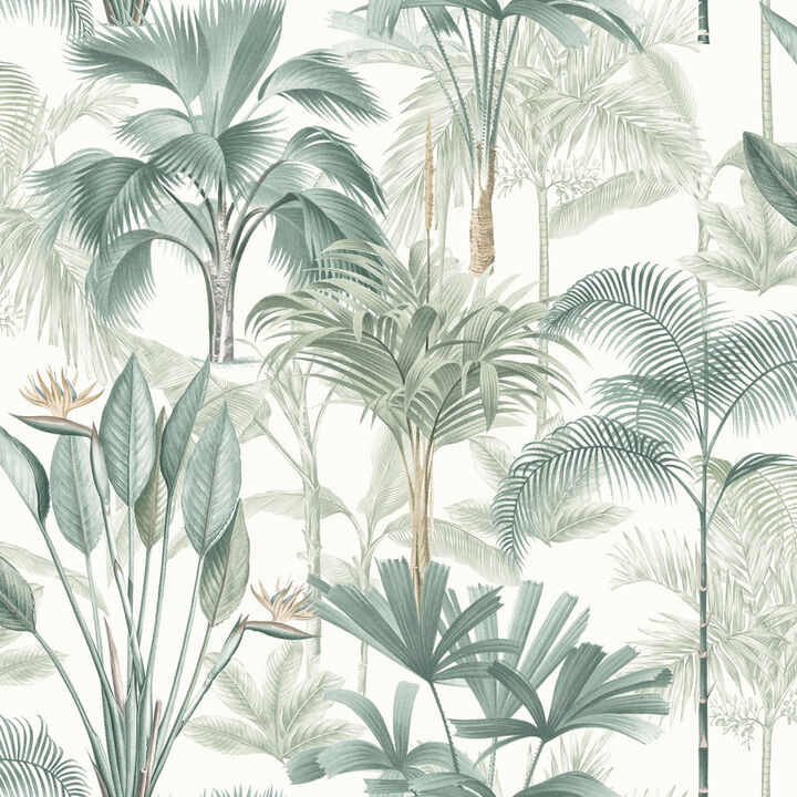 Freda Green Palm Trees Wallpaper