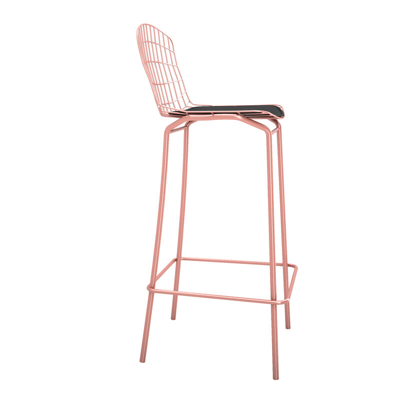 Madeline Pink and Black Bar Stools (Set of 2)