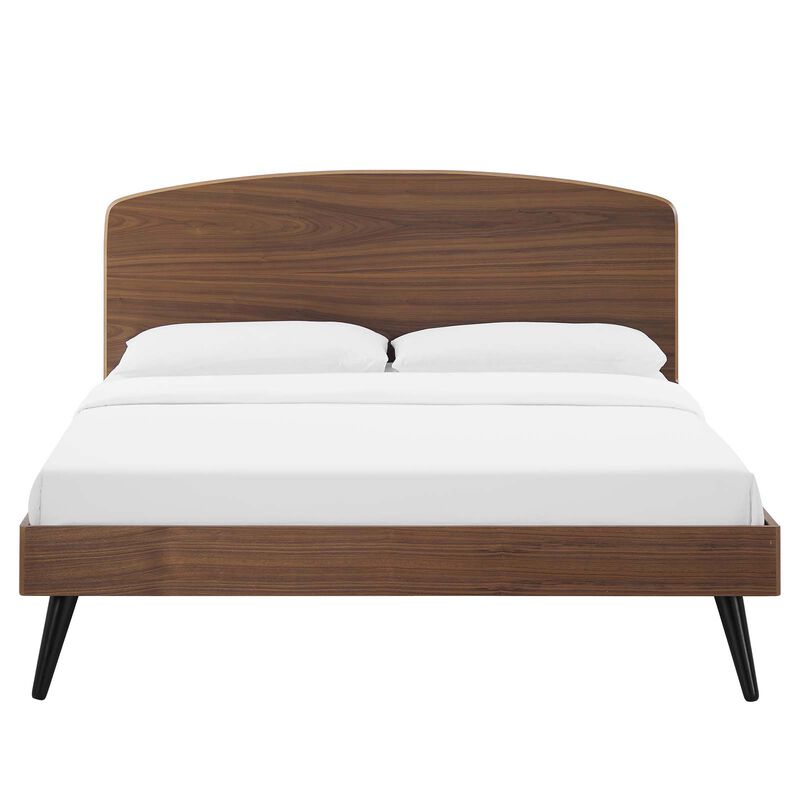 Modway - Bronwen Full Wood Platform Bed Walnut