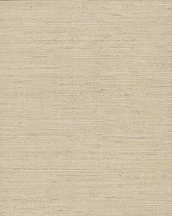 Essence Beige Wallpaper (Set of 2)