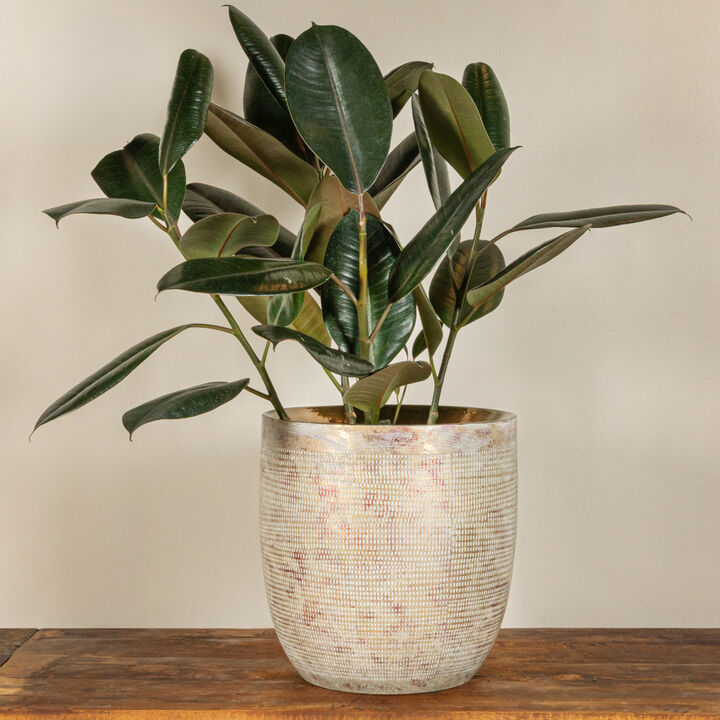 Embossed Textured Stoneware Planter, Metallic Gold