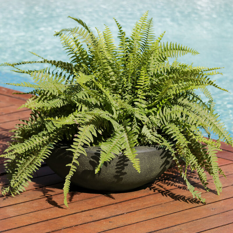 Sunnydaze Percival Round Polyresin Planter with UV-Resistance - Sable