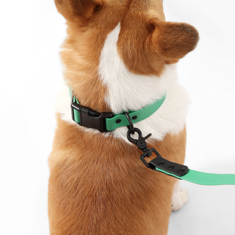Luna  Adjustable 6-in-1 Waterproof Hands-Free Leash and Collar with LED Flashlight