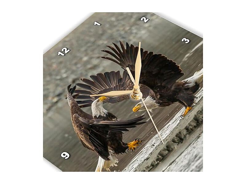 Bald Eagle Bird Of Prey Alaska Chilkat Wall Clock 15 Inch Silent Home Decor image number 3