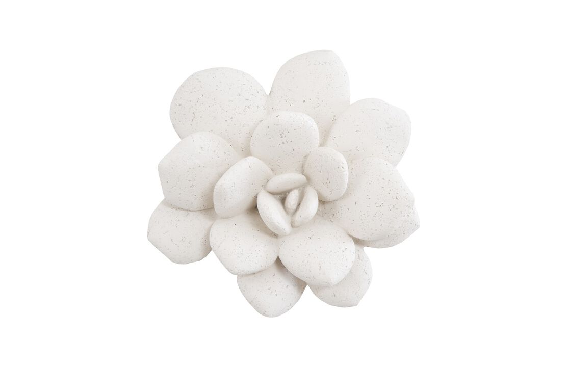 Laui Succulent Wall Art in White Stone