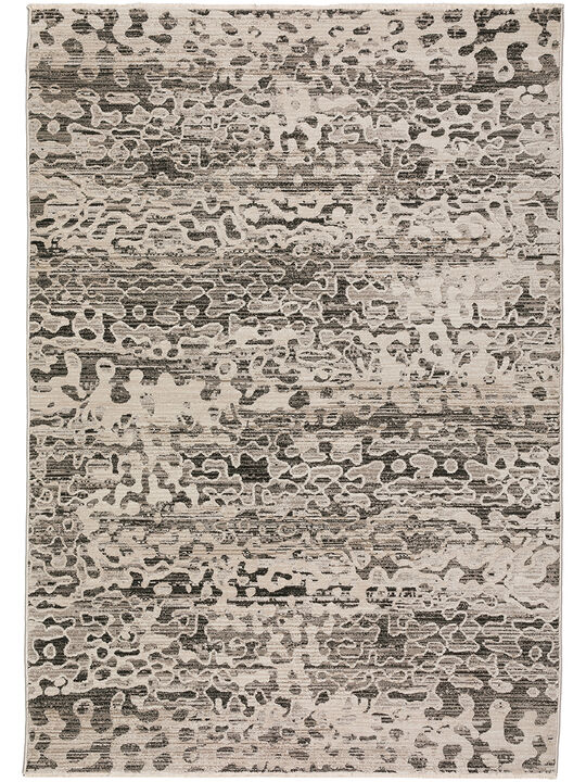 Denizi DZ6 Collection