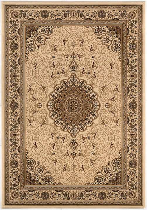HomeRoots Oriental Area Rug