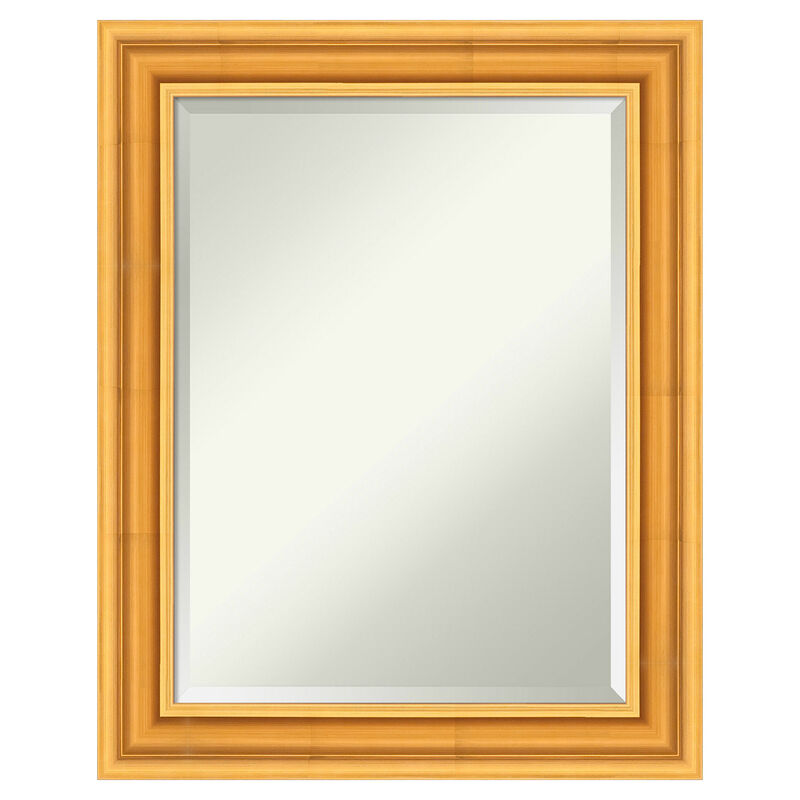 Sierra Beveled Wood Framed Wall Mirror image number 0
