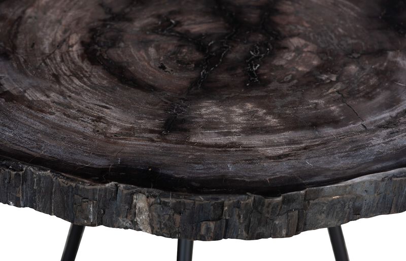 Petrified Coffee Table