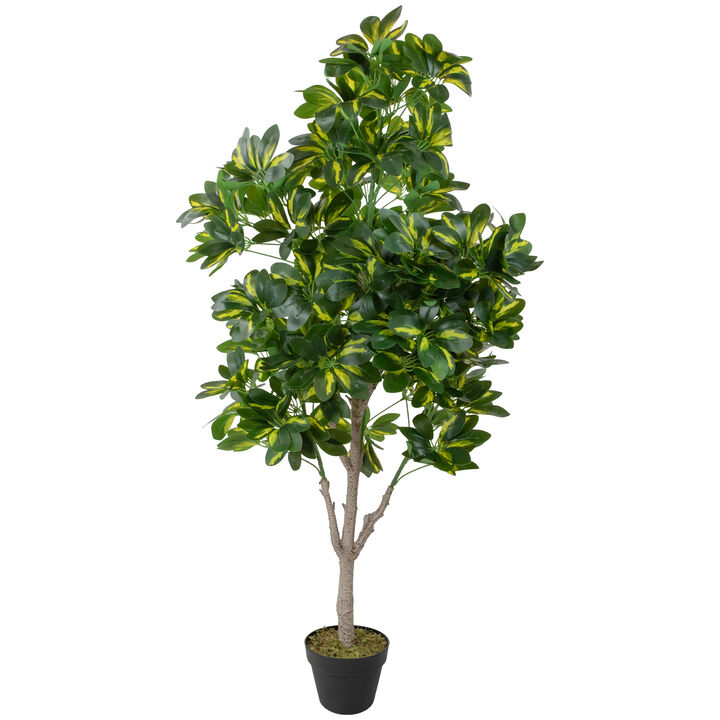51" Green and Black Potted Two Tone Schefflera Artificial Plant