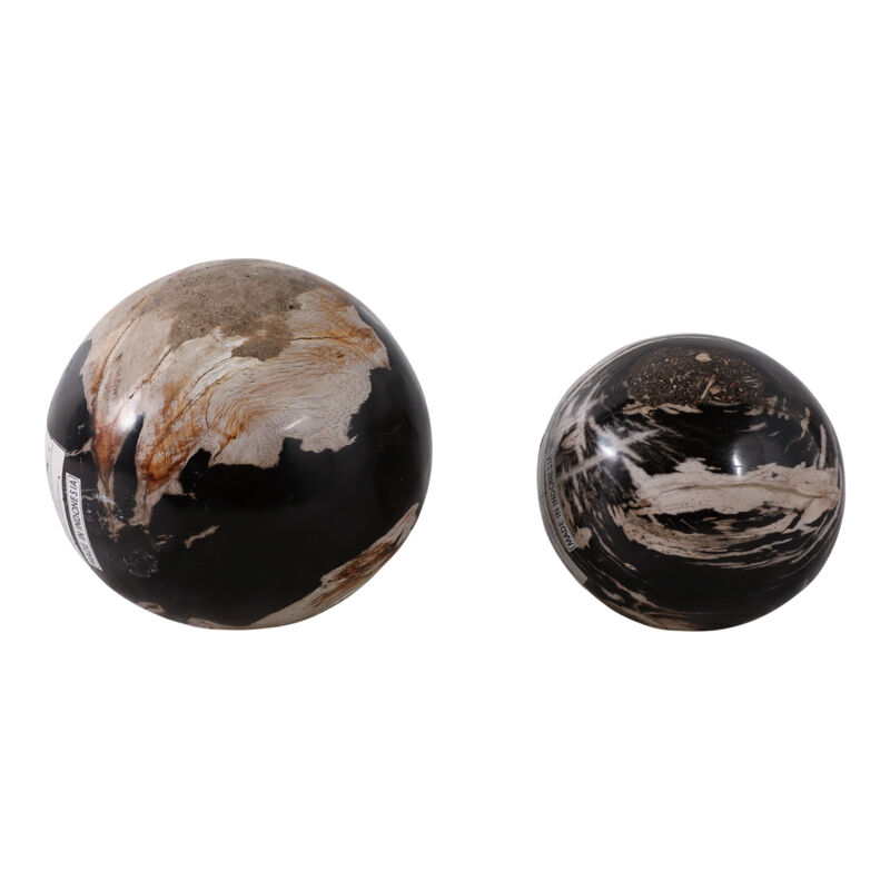 S/2 5/6" Petrified Wood Orbs image number 2