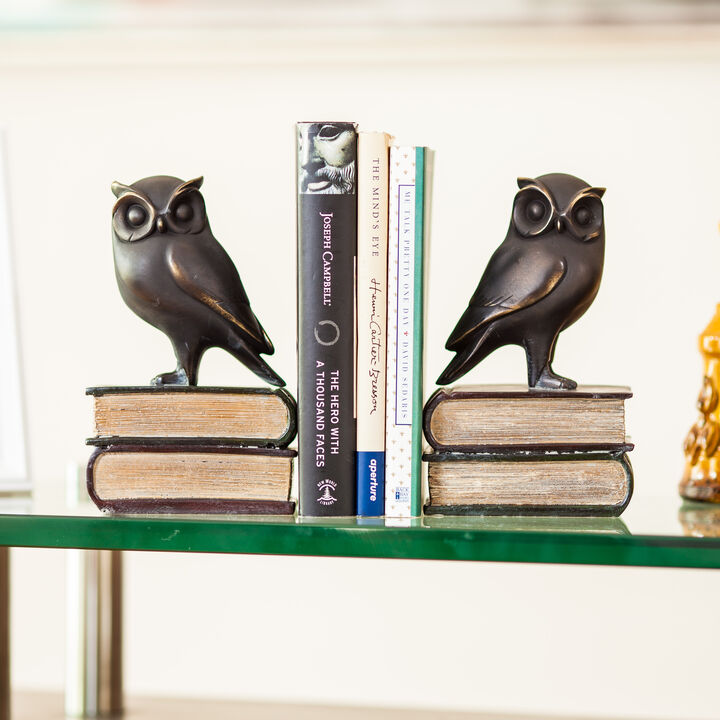 Owl on Books Bookend Set