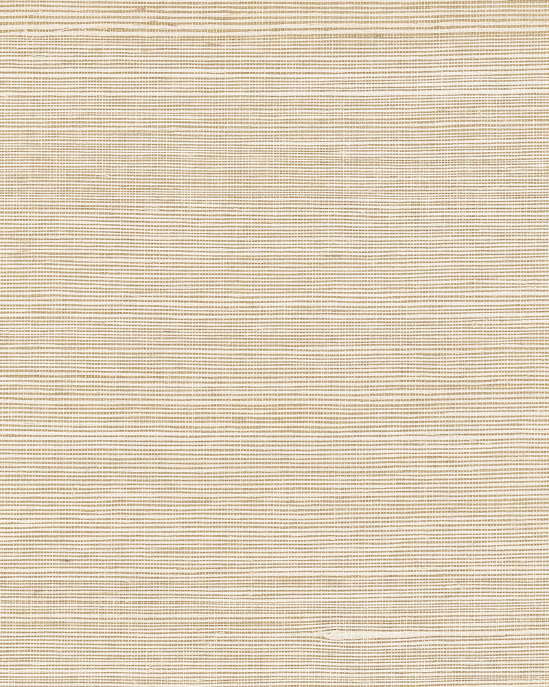 Maguey Sisal Wheat Wallpaper image number 0