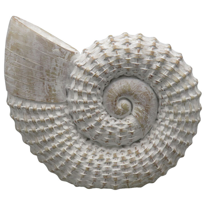 12x11" Woven Shell Decor, White