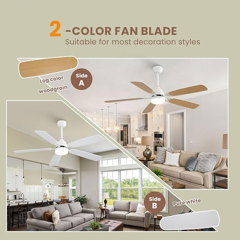 ELEMENT ACE Indoor Modern Ceiling Fan with LED Light and Remote Control for Efficient Airflow image number 3