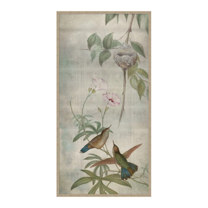 Hummingbird Dances 3 image number 0