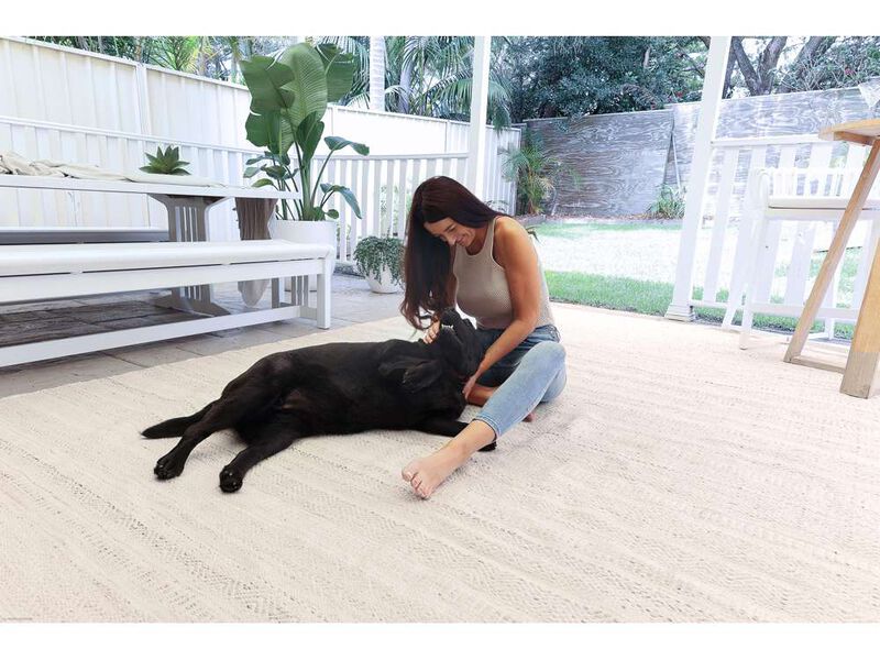 Lucinda Cream and Beige Indoor Outdoor PET Rug