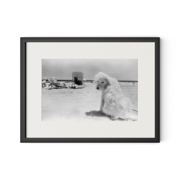 Lois At The Beach