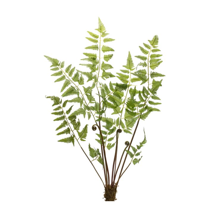 Variegated Fern Bundle with Sprout Accents for Lush Home Décor and Floral Arrangements (Set of 6)