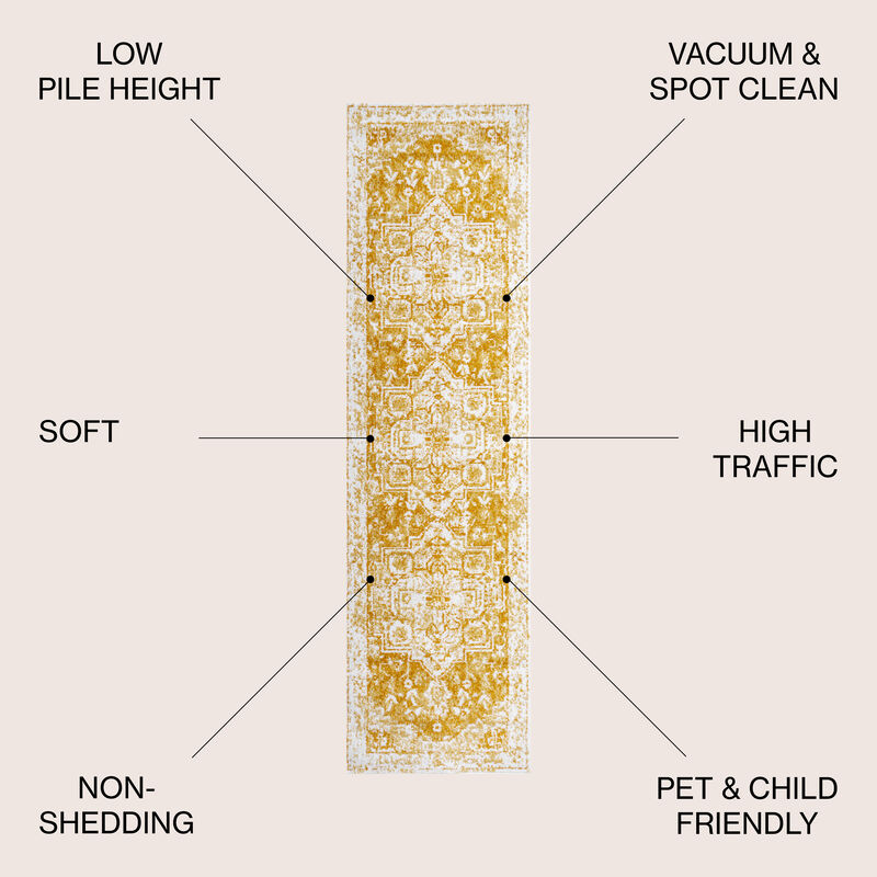 Audrey Bohemian Ornate Medallion Area Rug