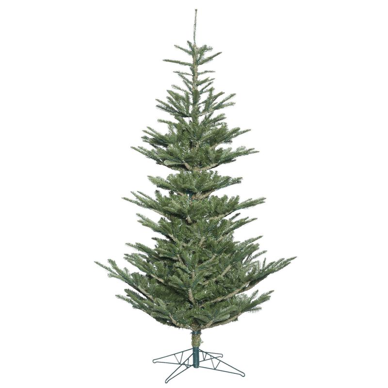Vickerman Alberta Spruce - image number 0