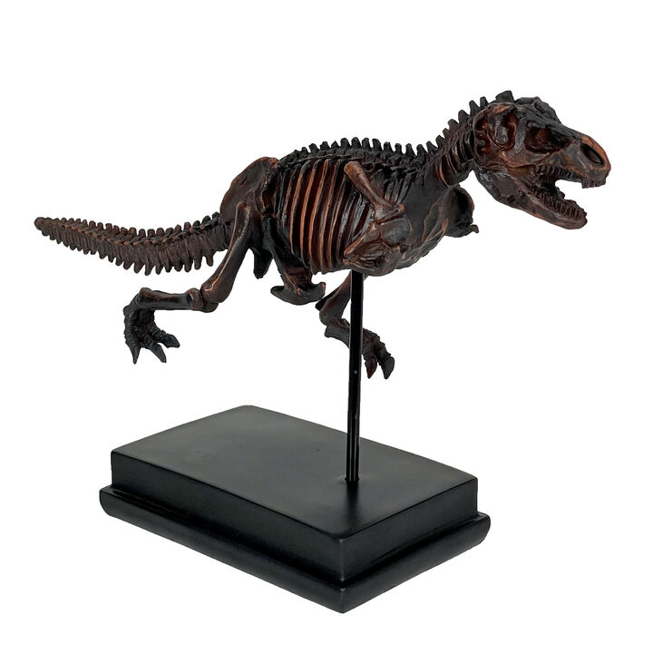 Tyrannosaurus Rex Skeleton Statue T-Rex on Museum Mount