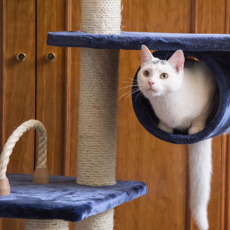 Armarkat 71 Navy Real Wood Cat Climbing Tower, Cat Scratching Furniture