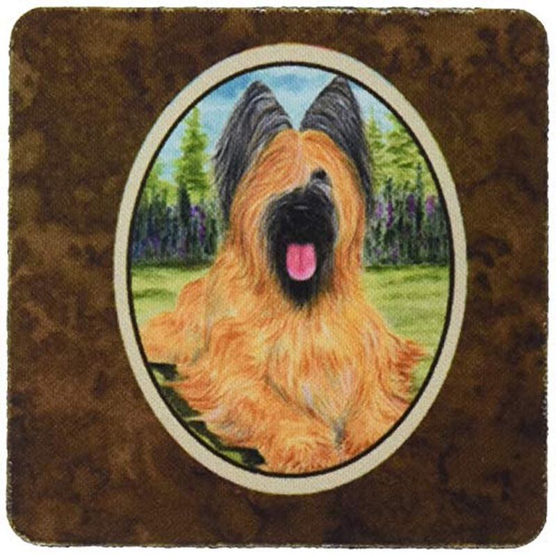 Caroline's Treasures SS8035FC Briard Foam Coasters (Set of 4), 3.5 H x 3.5 W, Multicolor image number 0