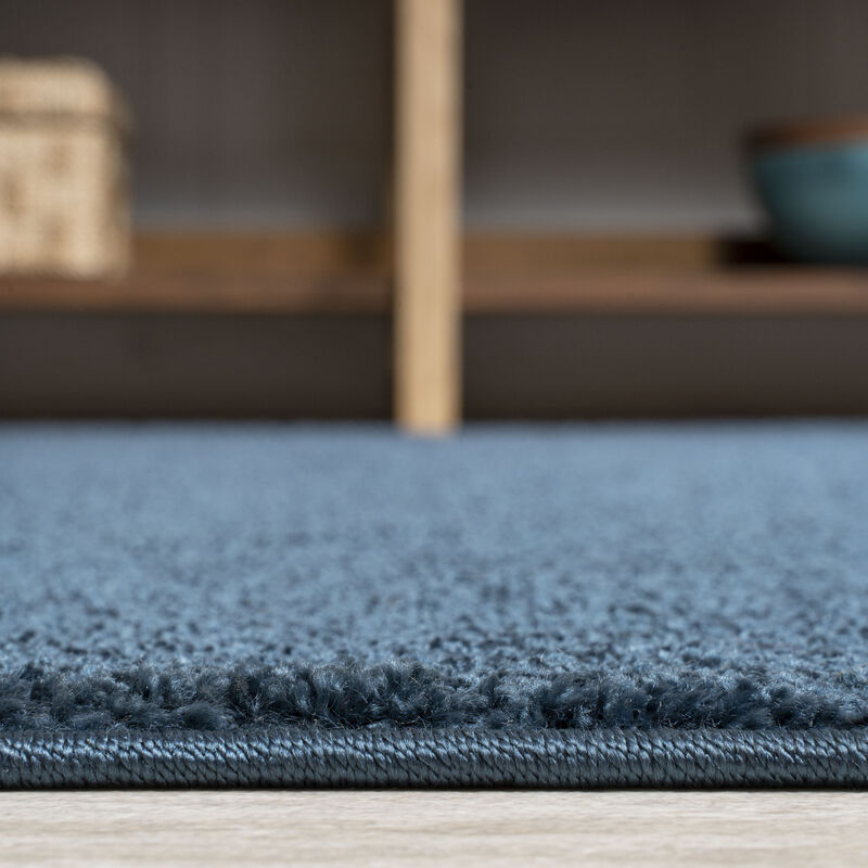 Haze Solid Low Pile Area Rug