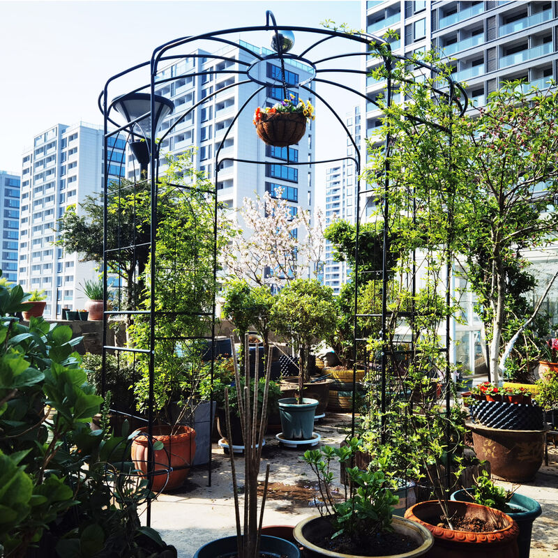 Streamdale Birdcage Shaped Metal Garden Arch Gazebo image number 1