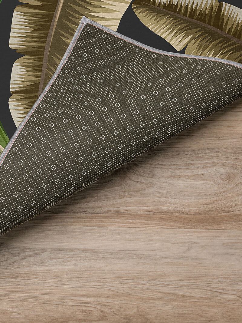 Tropics TC1 Collection