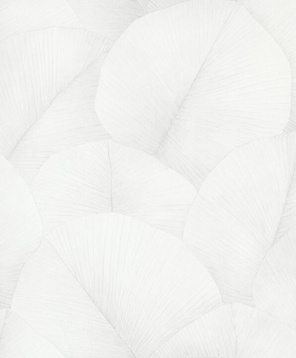 Kumano Palm Leaf White Wallpaper 34507