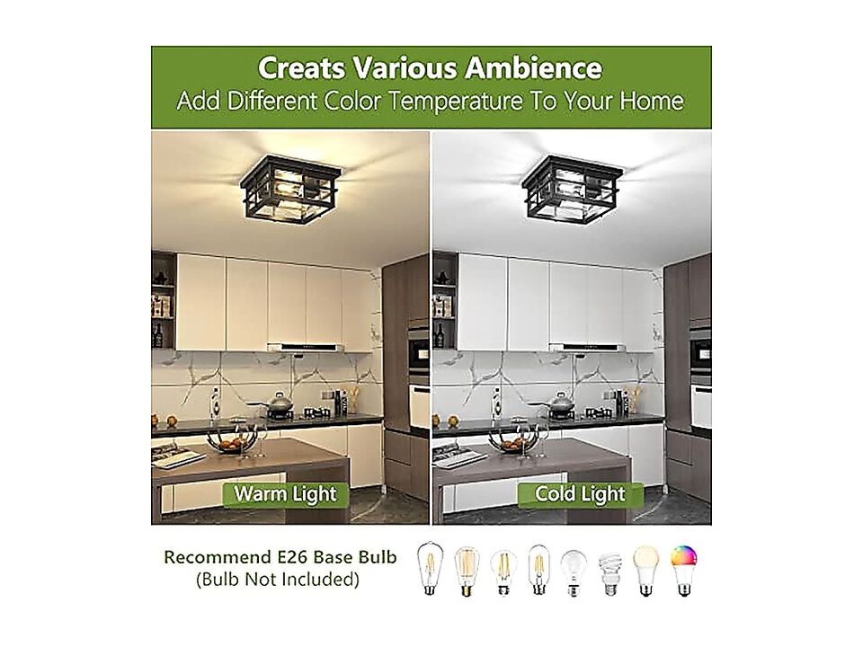 Modern Outdoor Ceiling Light Fixtures 2 Black Flush Mount Clear Glass Shade Not