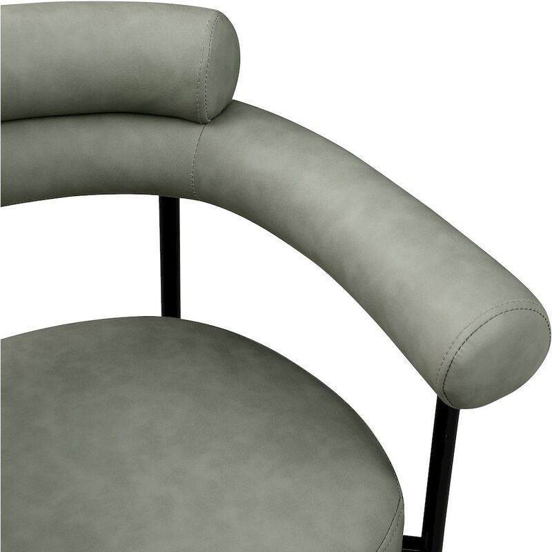 Meridian Furniture Blake Green Vegan Leather Dining Chair, Set of 2