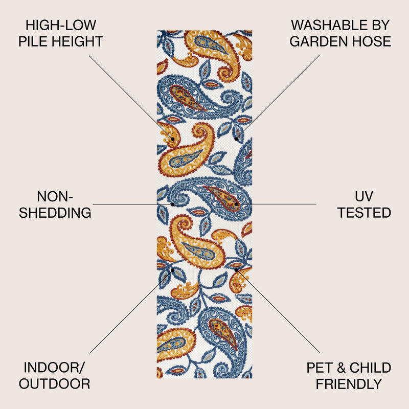Julien Paisley High-Low Indoor/Outdoor Area Rug