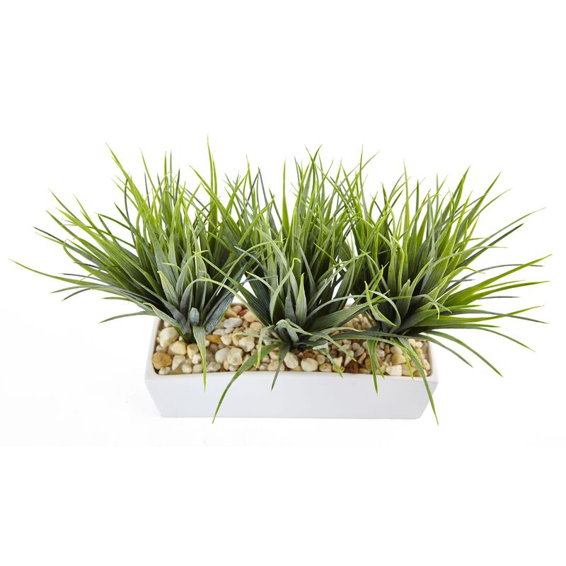 Hivvago Vanilla Grass in Rectangular Planter