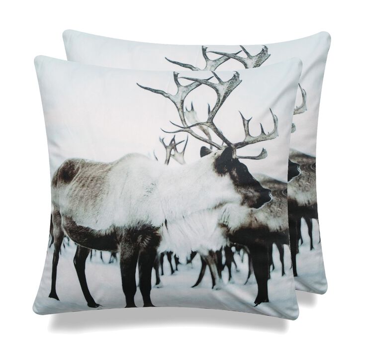 Cottage Icons throw pillow - set of 2