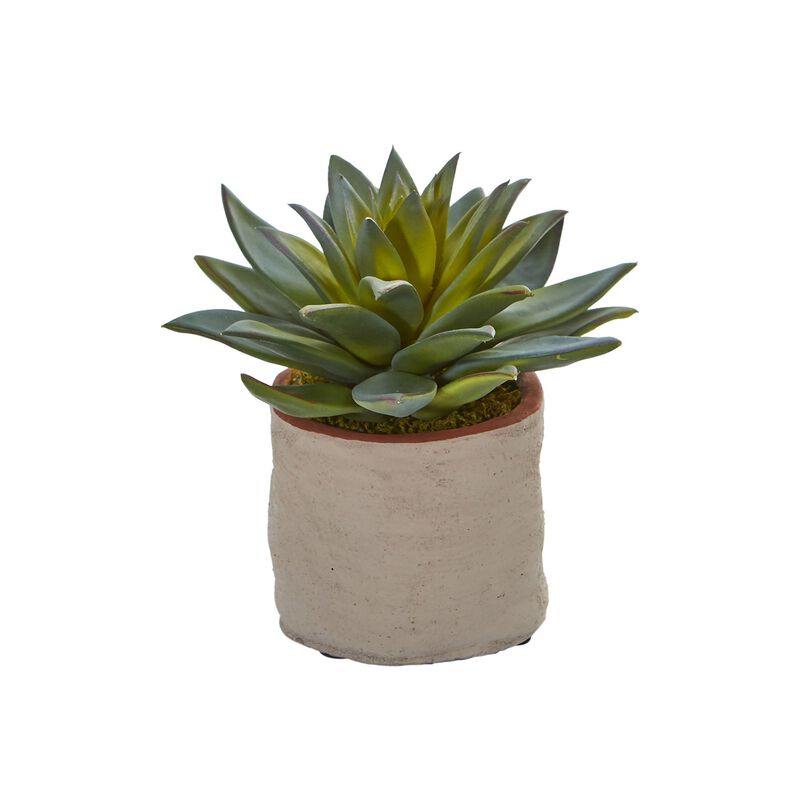 Hivvago Mixed Succulent Artificial Plant (Set of 4)